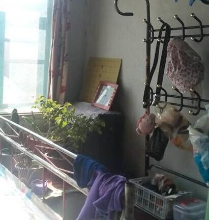 �����Ǽ���ʮ�����ң�Ϊ�˸����ӿ����Ѿ������˼�������ֵǮ�Ķ���