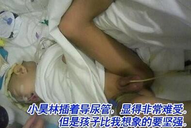 С��ֲ��ŵ���ܣ��Ե÷ǳ����ܡ����Ǻ��ӱ��������Ҫ��ǿ��