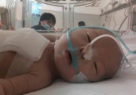 2012��1��1���Ͼ���ͯҽԺ�������Ī��������Ϊ�����µ�С����������������������Ϊ��������ICU����ס��ʮ��ת����ͨ��������Ƭ�����ڱ������ڣ����ű��ǹܣ������ܣ��Լ���ǰʮ�����ֳ��Ŀ��������˿ڣ�������С������ôС�;�����ô����������ˣ����˶��ѳ��ܣ�С���������̫�����ˣ�