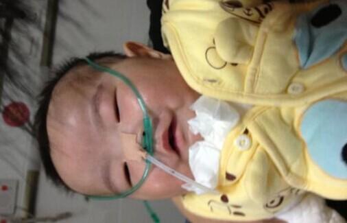 Ϊ����С���红�Ӹ��Ӵǵ�������ĸ���չ˺���һֱδ����������үү�������ϼ����м�Ķ�ر���ȫ�ҵ�ȫ���������룬���иղμӹ����ĺ������壬���ò������еĹ����������κ��ӡ�