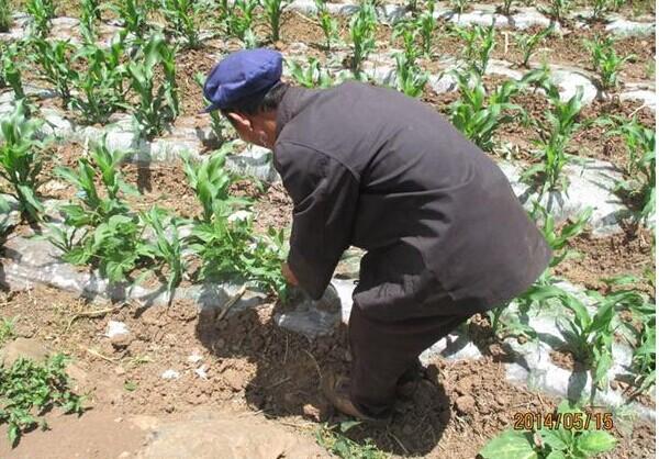 ������ڵ��￴��ׯ�ڣ���ԭ�ش�����仯��Ҳֻ���ֵ�����