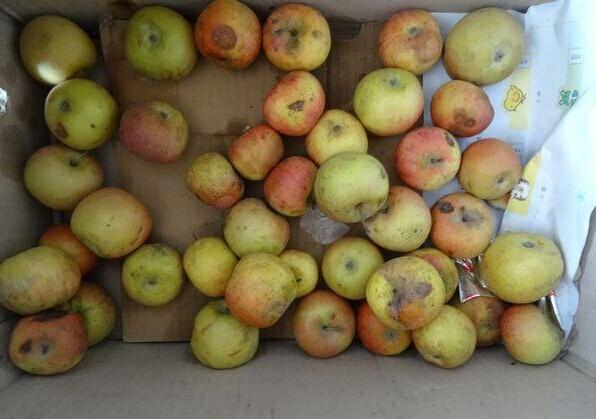 ��ά��ƽʱ�������ϼ��������ˮ�����������õģ����������˵�����ԳԼ�����