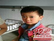 ������Ƭ