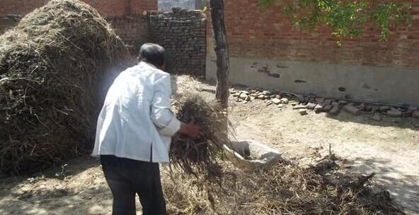 ƽʱ���¶���Ҫ��ʯ������������Ϊ