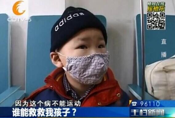 ����������еİ�Ѫ������������