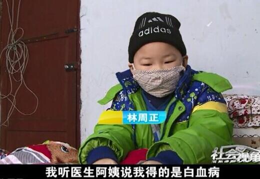 ���µ�С����