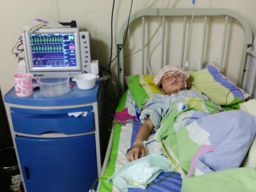 ������Ƭ