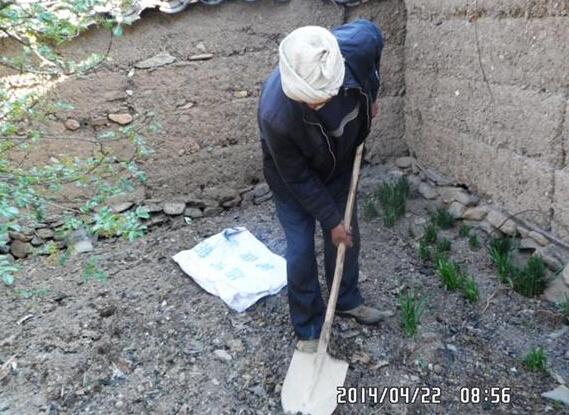 ������������������ֲ����������ά�ֻ���������