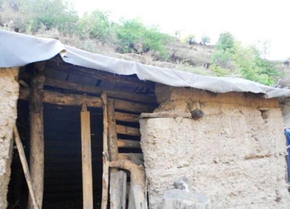 �����������˹¹�һ���������ס�Ļ���������������ܲҲû����������