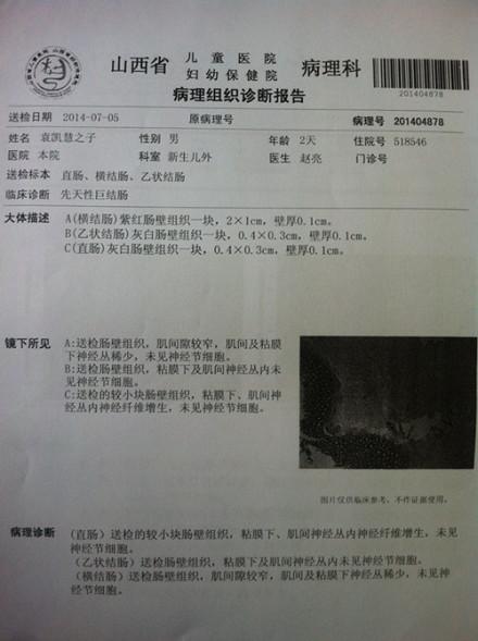 ����֤��