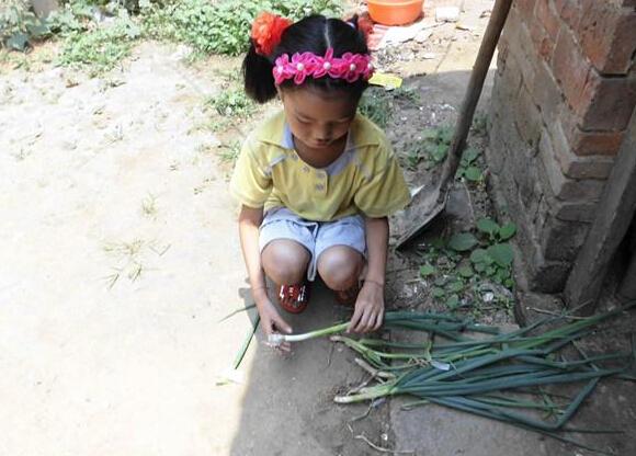 �����Ǹ����µĺ��ӣ���ѧ�ؼҰ��ż�����Щ���񣬼���ĸ�׺����̵ĸ���