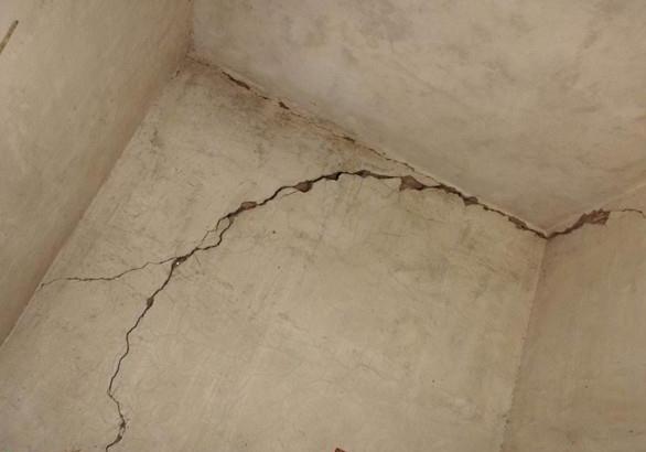 ���ܼҵ�ǽ�ڶ������ˣ��������ɺͷ���