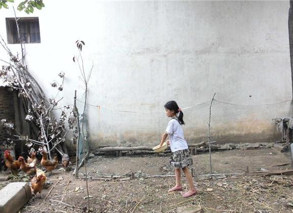 Ϊ���������ã�����ι���˼�ֻ�����ź㸺��ÿ�����ιʳ