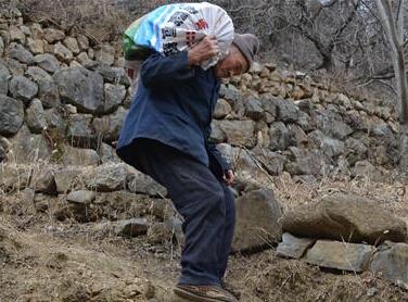 �˴Ӽ��ﱳ��ʮ��������������ȥ��Ǯ��һ������5��6��Ǯ����Լ����ʮ�����ң���ɽ��ɽҪ����ʮ�����ɽ·������20Ԫ������������Щ���γԣ��������ر�����������