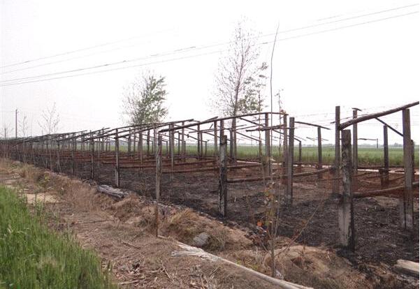 �����ֳ���������յ��ļ���