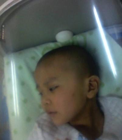 �������еķ����������