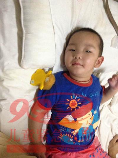 ������Ƭ