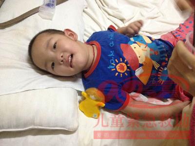 ������Ƭ