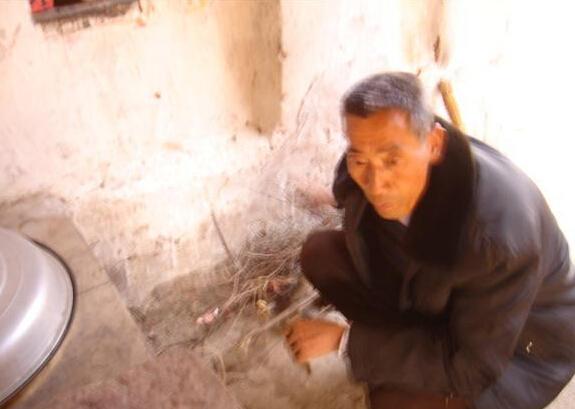 �����Ʋ��������Ҳ������Σ�ƽʱҲ�������������������ܼ��ļ����