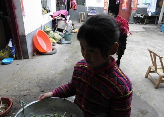 �������ڼ��Ѿ���һ��С�����ˣ�ʲô�����������ڰ���ĸ�����