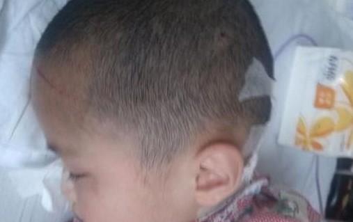 ����������С����˯����