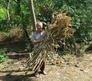 ����������ȥ���ſ��ò��