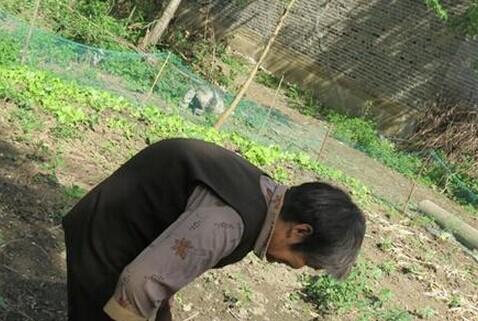 ����������ڵ����ũ��