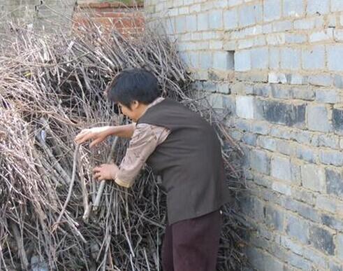 ���������Ժ����Ѳ��ĵط�