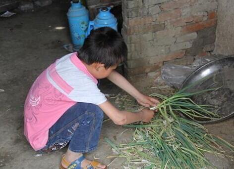 �����ڸɻ�