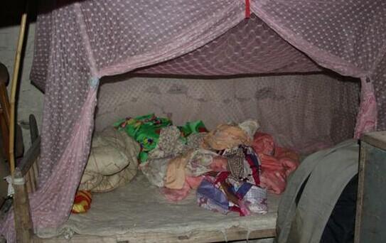 ���ľ����ƾɲ����Ĵ�