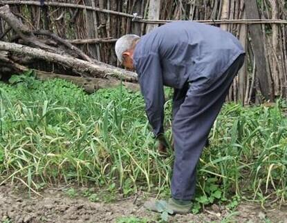 �������ڸ�ũ��