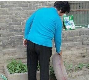 ������Ϊ���岻���䲻�����ɻ�