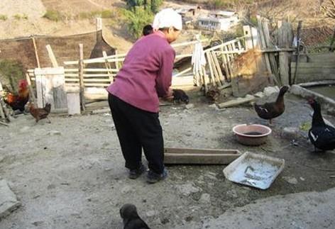 ���˼���ƶ��������Щ������������