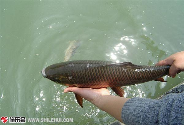 ����С����Ա���������ˮ�С� 