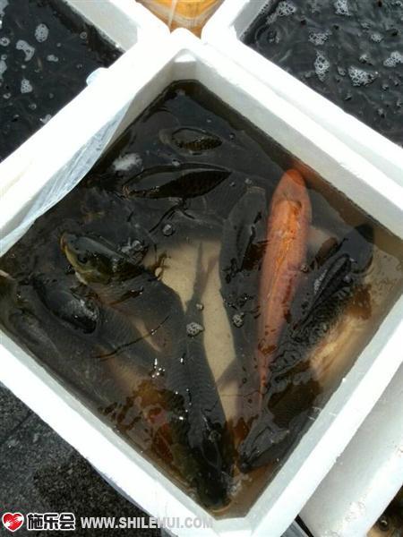 �ȴ�������С���㡣 