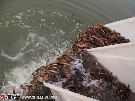 ��ҽ������ͻ���������ˮ�С� 