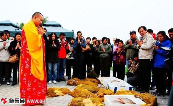 ����ڽ��з����ǹ档 