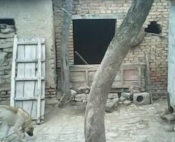 ����ɼҵ�Ժ��