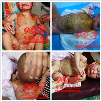 ������Ƭ