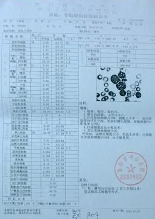 ����骵�ѪҺ������ϸ�����鱨�浥