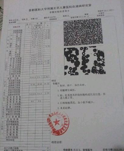 �������ļ�鱨�档