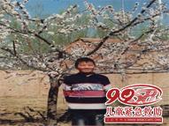 ������Ƭ