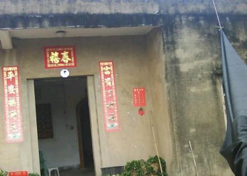 ���з��ݵ����