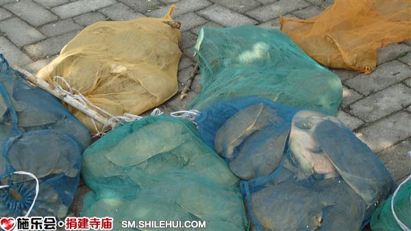 ����ʱ���̷�������������Ұ��Ԫ��