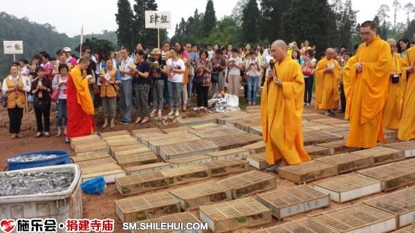 2014��4�³�������Ħ���ʥ����ʦ��Ϊ��������С��.����ʩ����¶