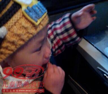 ������Ƭ