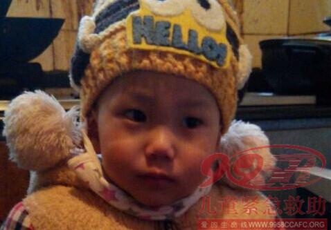 ������Ƭ