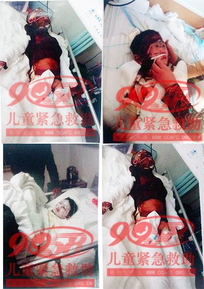 ������Ƭ