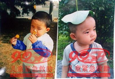 ������Ƭ