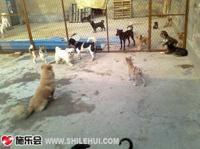 �����������������ù����ǻ��Ժ�ӡ�